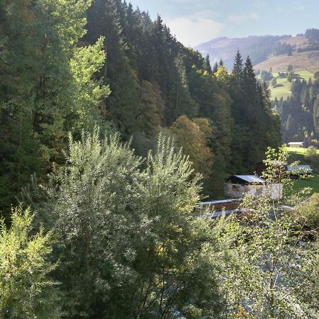 Apartment In Salzburgerland Near The Ski Area フィーホーフェン エクステリア 写真