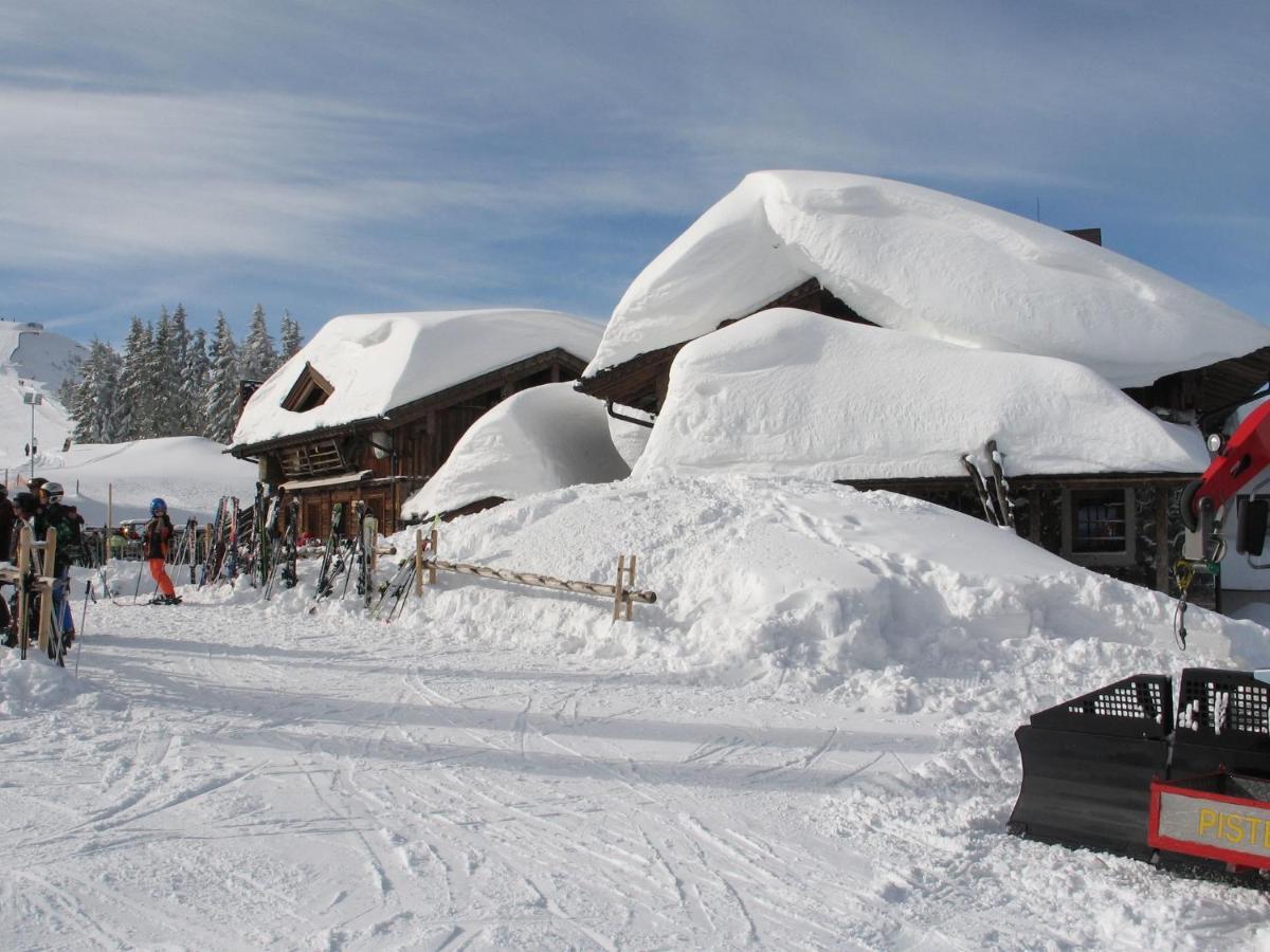 Apartment In Salzburgerland Near The Ski Area フィーホーフェン エクステリア 写真