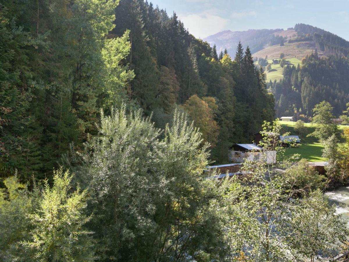 Apartment In Salzburgerland Near The Ski Area フィーホーフェン エクステリア 写真