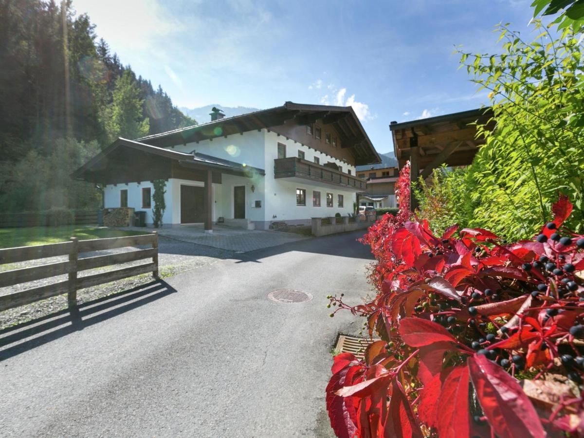 Apartment In Salzburgerland Near The Ski Area フィーホーフェン エクステリア 写真