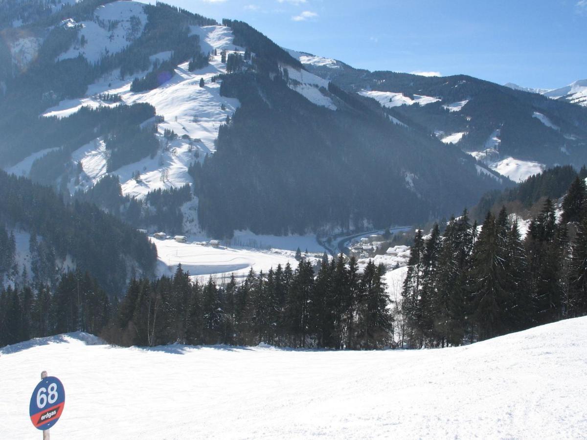 Apartment In Salzburgerland Near The Ski Area フィーホーフェン エクステリア 写真