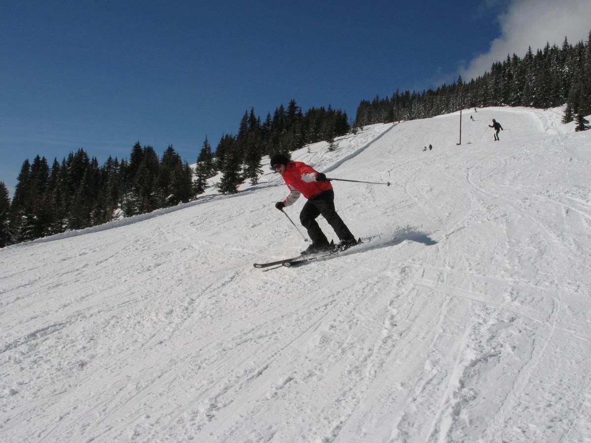 Apartment In Salzburgerland Near The Ski Area フィーホーフェン エクステリア 写真